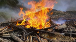 Burn Permit