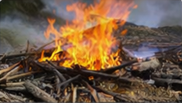 Burn Permit